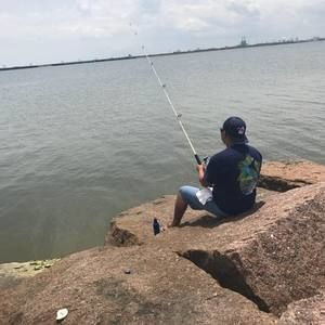 Meet your Posher, Hector